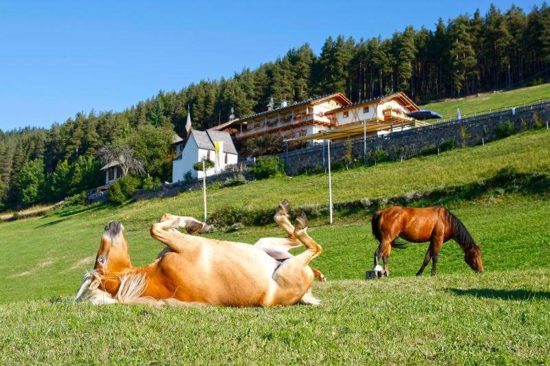 Gasthaus Bad Siess Longostagno Εξωτερικό φωτογραφία